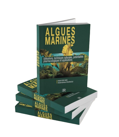 B B wmremove-transformed-removebg-preview